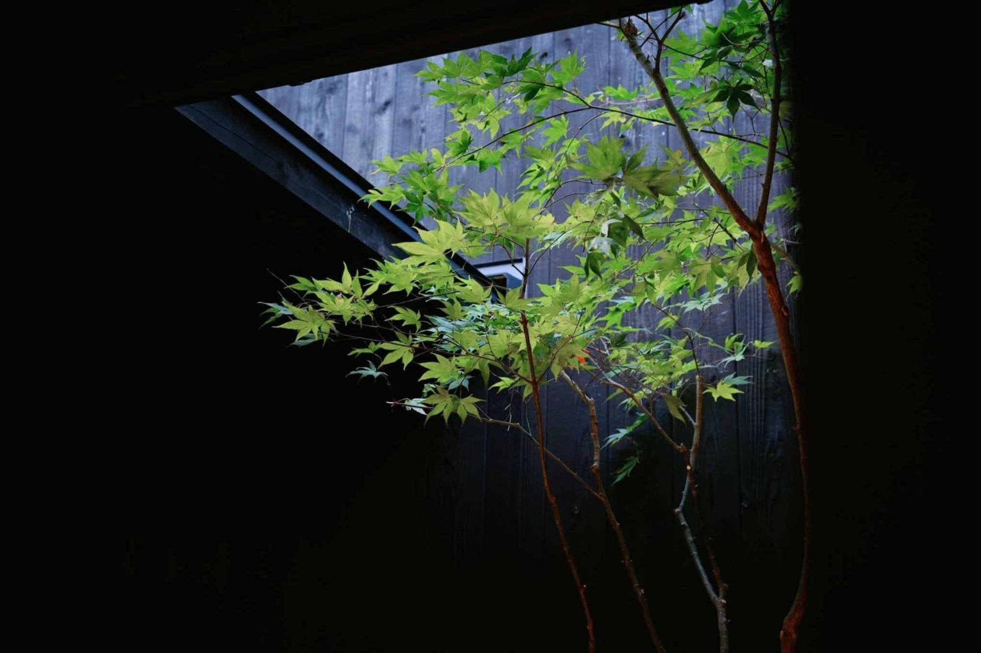 Machiya Zeniyacho Hébergement de vacances Kyoto